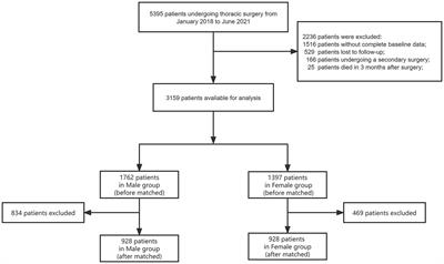 Sex and age differences in chronic postoperative pain among patients undergoing thoracic surgery: a retrospective cohort study